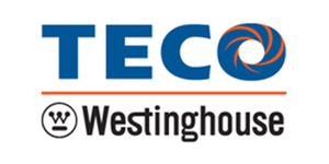 Teco Westinghouse汽车公司